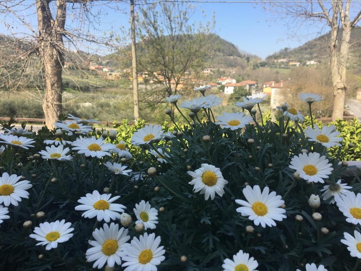 Belvedere Resort Ai Colli Galzignano Terme Exteriér fotografie